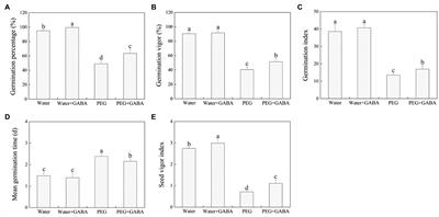 γ-Aminobutyric Acid (GABA) Priming Improves Seed Germination and Seedling Stress Tolerance Associated With Enhanced Antioxidant Metabolism, DREB Expression, and Dehydrin Accumulation in White Clover Under Water Stress